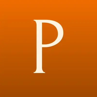 Punto, магазин сумок и чемоданов, лого-визитка